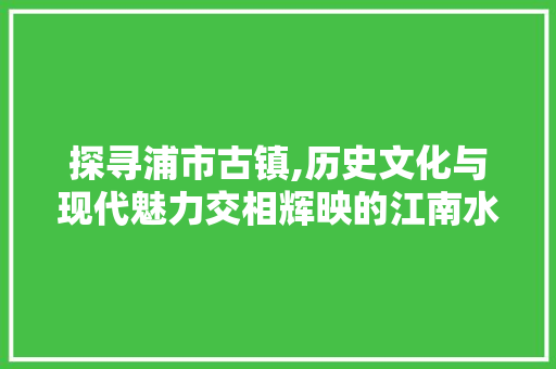 探寻浦市古镇,历史文化与现代魅力交相辉映的江南水乡