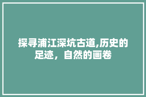 探寻浦江深坑古道,历史的足迹，自然的画卷