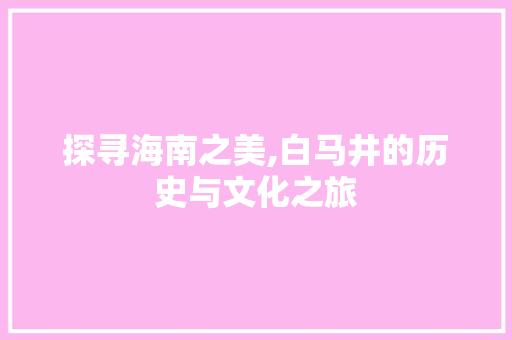 探寻海南之美,白马井的历史与文化之旅