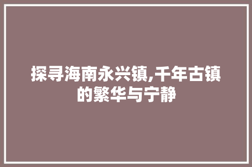 探寻海南永兴镇,千年古镇的繁华与宁静