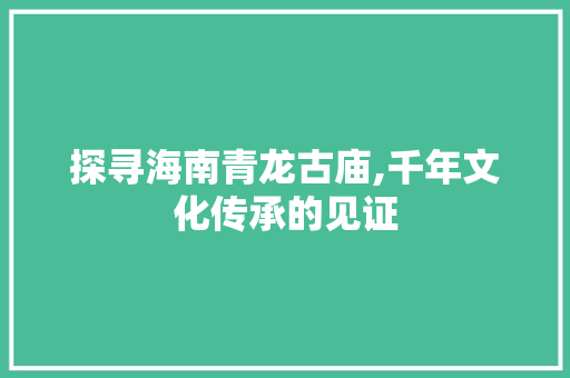 探寻海南青龙古庙,千年文化传承的见证  第1张