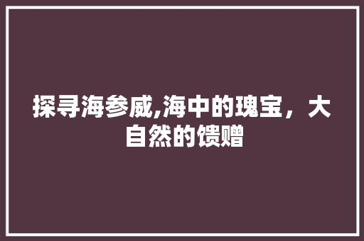 探寻海参威,海中的瑰宝，大自然的馈赠