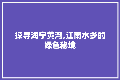 探寻海宁黄湾,江南水乡的绿色秘境