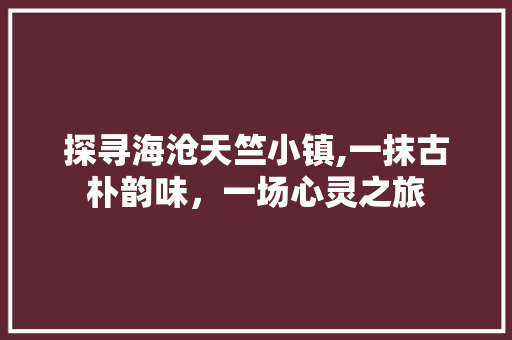 探寻海沧天竺小镇,一抹古朴韵味，一场心灵之旅