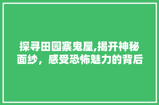 探寻田园寨鬼屋,揭开神秘面纱，感受恐怖魅力的背后