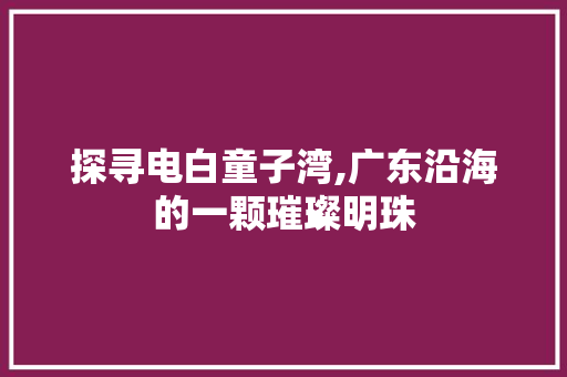 探寻电白童子湾,广东沿海的一颗璀璨明珠