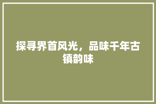 探寻界首风光，品味千年古镇韵味