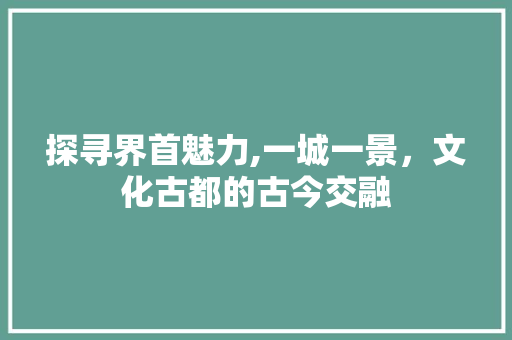 探寻界首魅力,一城一景，文化古都的古今交融