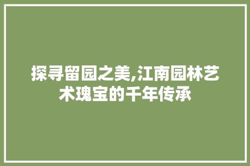 探寻留园之美,江南园林艺术瑰宝的千年传承