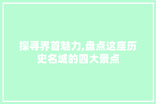 探寻界首魅力,盘点这座历史名城的四大景点