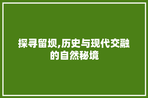 探寻留坝,历史与现代交融的自然秘境