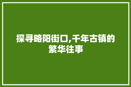 探寻略阳街口,千年古镇的繁华往事