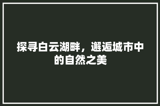 探寻白云湖畔，邂逅城市中的自然之美