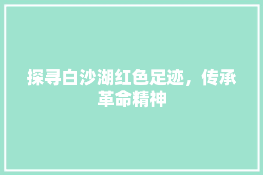 探寻白沙湖红色足迹，传承革命精神