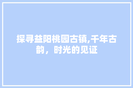 探寻益阳桃园古镇,千年古韵，时光的见证