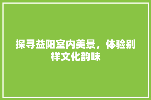 探寻益阳室内美景，体验别样文化韵味