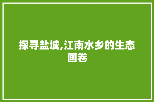 探寻盐城,江南水乡的生态画卷