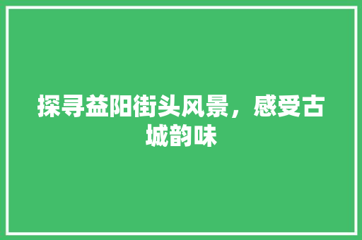 探寻益阳街头风景，感受古城韵味