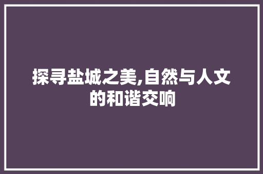 探寻盐城之美,自然与人文的和谐交响