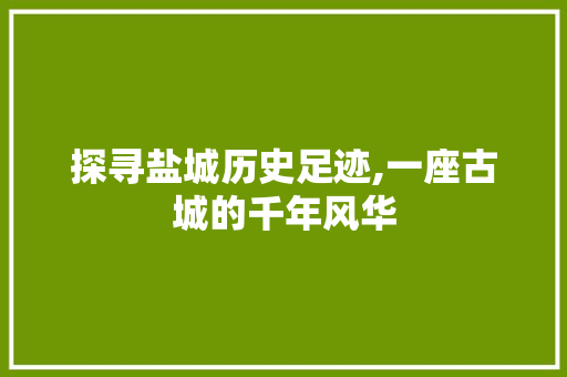 探寻盐城历史足迹,一座古城的千年风华