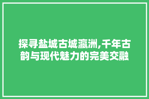 探寻盐城古城瀛洲,千年古韵与现代魅力的完美交融