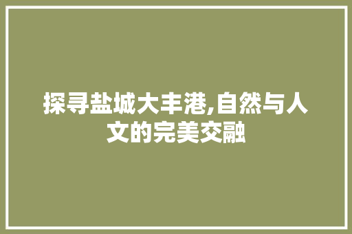 探寻盐城大丰港,自然与人文的完美交融