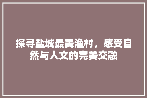 探寻盐城最美渔村，感受自然与人文的完美交融