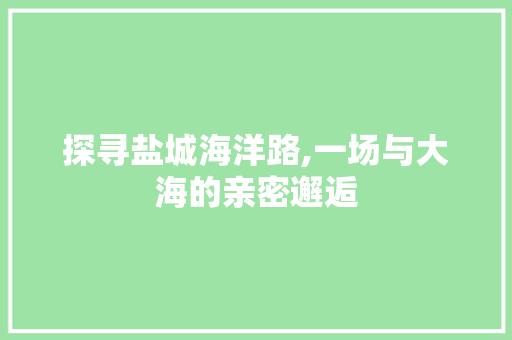 探寻盐城海洋路,一场与大海的亲密邂逅