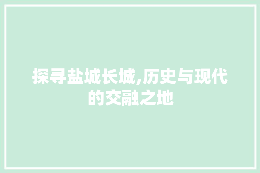 探寻盐城长城,历史与现代的交融之地