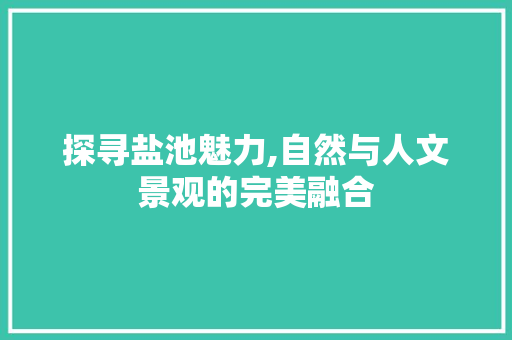 探寻盐池魅力,自然与人文景观的完美融合