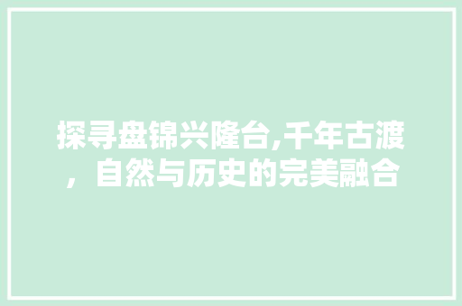 探寻盘锦兴隆台,千年古渡，自然与历史的完美融合