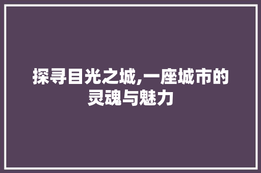 探寻目光之城,一座城市的灵魂与魅力