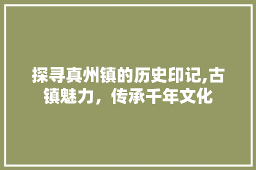 探寻真州镇的历史印记,古镇魅力，传承千年文化