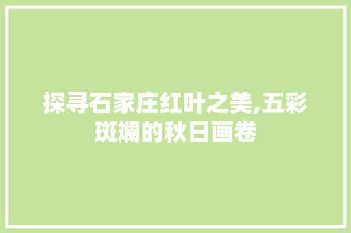 探寻石家庄红叶之美,五彩斑斓的秋日画卷