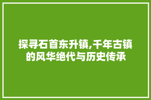 探寻石首东升镇,千年古镇的风华绝代与历史传承