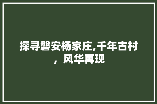 探寻磐安杨家庄,千年古村，风华再现