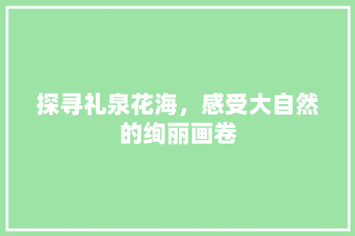 探寻礼泉花海，感受大自然的绚丽画卷