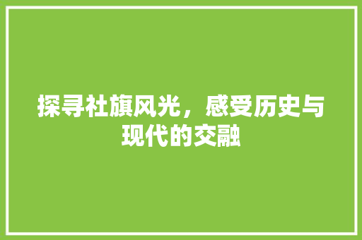 探寻社旗风光，感受历史与现代的交融