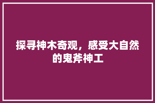 探寻神木奇观，感受大自然的鬼斧神工