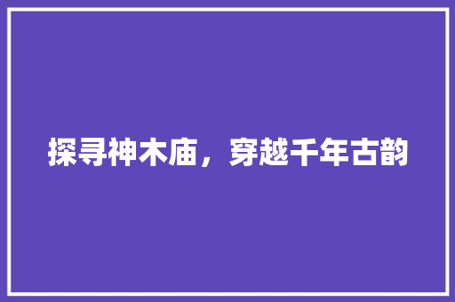 探寻神木庙，穿越千年古韵