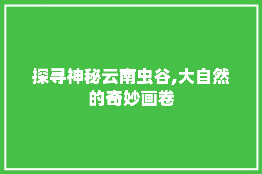 探寻神秘云南虫谷,大自然的奇妙画卷