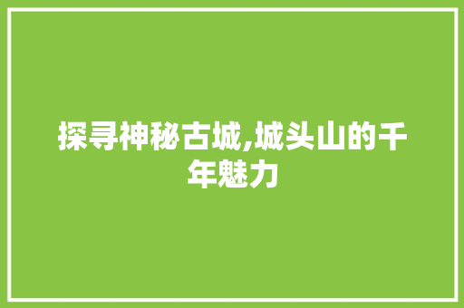 探寻神秘古城,城头山的千年魅力