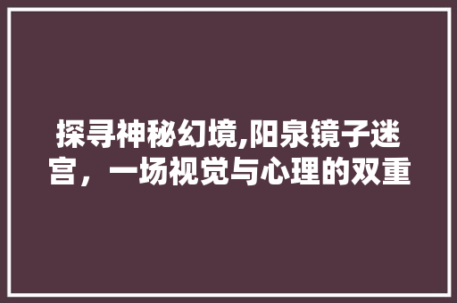 探寻神秘幻境,阳泉镜子迷宫，一场视觉与心理的双重挑战  第1张