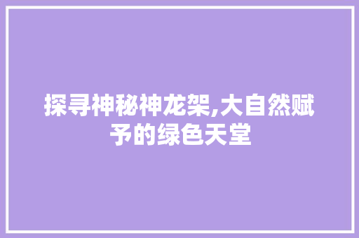 探寻神秘神龙架,大自然赋予的绿色天堂