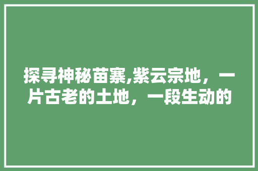 探寻神秘苗寨,紫云宗地，一片古老的土地，一段生动的传说