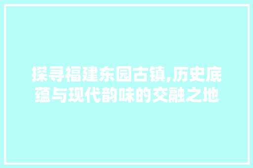 探寻福建东园古镇,历史底蕴与现代韵味的交融之地