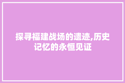 探寻福建战场的遗迹,历史记忆的永恒见证