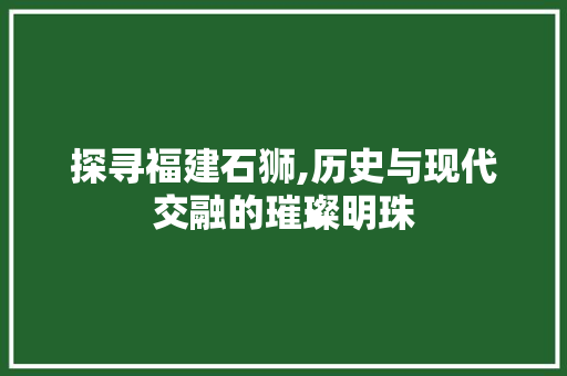 探寻福建石狮,历史与现代交融的璀璨明珠