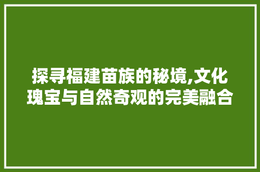 探寻福建苗族的秘境,文化瑰宝与自然奇观的完美融合