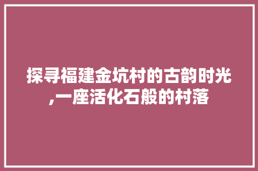 探寻福建金坑村的古韵时光,一座活化石般的村落